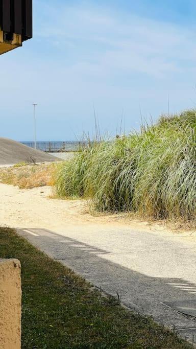 Appartement 2 A 4 Personnes A 50M De La Plage Lacanau Eksteriør billede